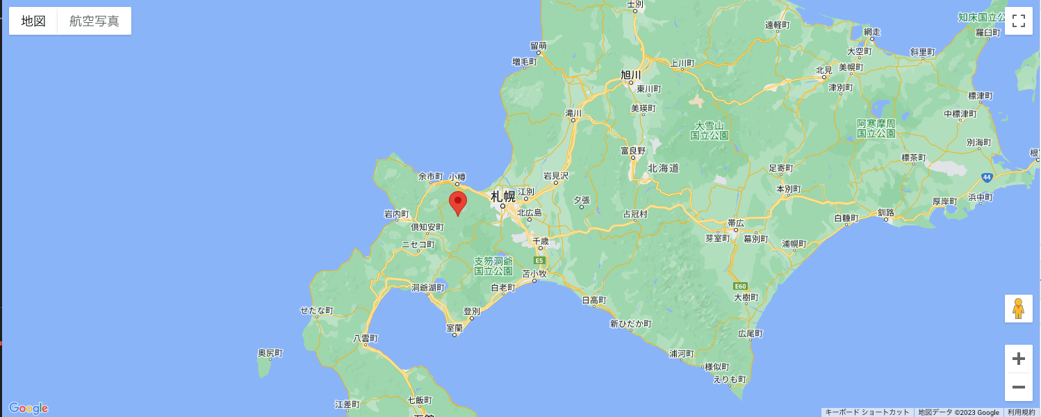 ピンが表示された